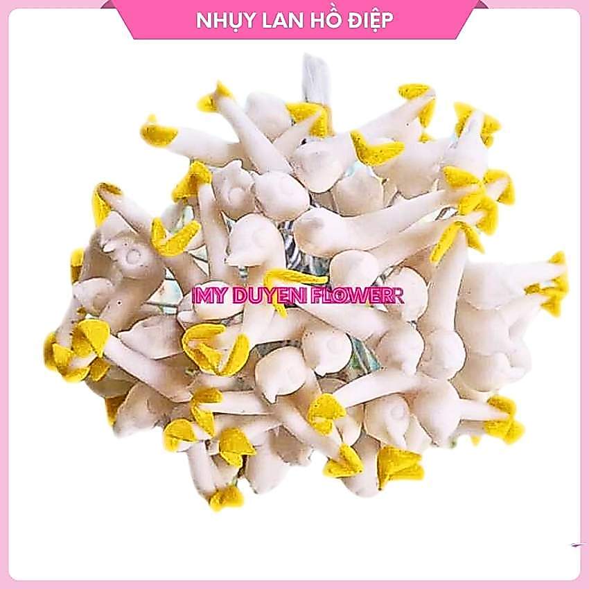NHỤY LAN HỒ ĐIỆP