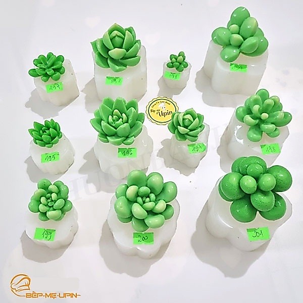 Khuôn silicon sen đá khuôn xương rồng