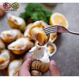 [Laifarm] Ốc hương nhập khẩu ngon giòn dinh dưỡng