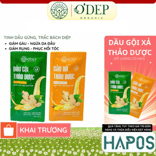 1 gói dầu xả gừng, trắc bách diệp thảo dược O'DEP ORGANIC giúp giảm rụng, giảm gàu ngứa - HAPOS HEL
