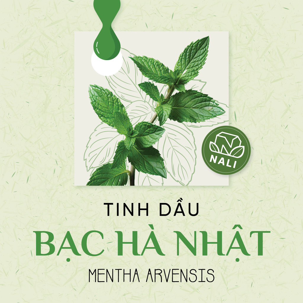 Tinh dầu Bạc hà nguyên chất - Metha Arvensis
