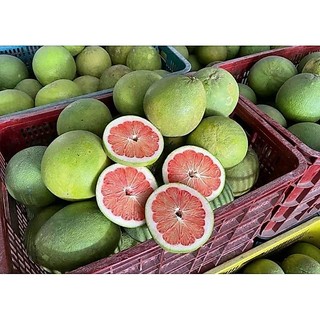 6kg Bưởi Da Xanh Lão đỏ ngọt, mỏng vỏ, nặng