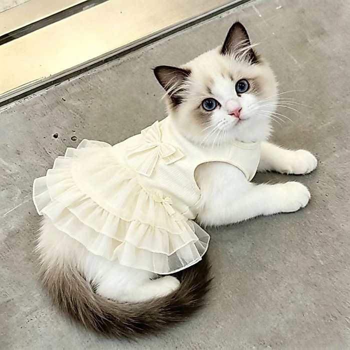 [Hàng có sẵn Giảm giá] Cat Dog Summer Beige Bow Tank Top Dress Pet Fashion Princess Dress