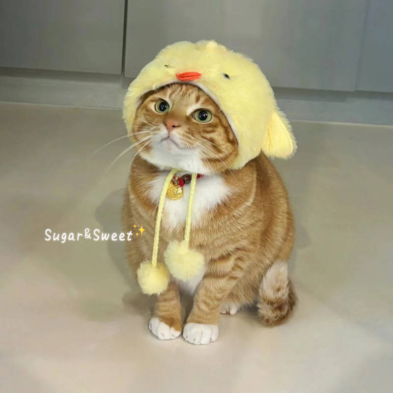 Cute Cat Hat Lamb Pet Costume Plush Headgear Funny Dog Kitten Headdress Funny Shape Photo NDtp