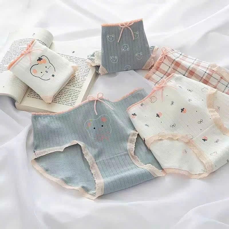 Gấu trắng CS039_Combo 5 quần gấu trắng xᶖnh xắn cho bé gái, chất vải cotton- có size M-L ….HM1