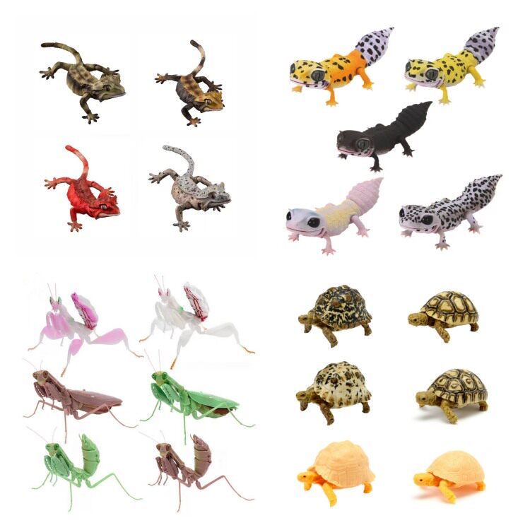 Viên nang Đồ Chơi Sinh Học Lớn Minh Họa Sách Cá Mantis 03 Gecko Gecko Gecko Mô Phỏng Động Vật Mô Hìn