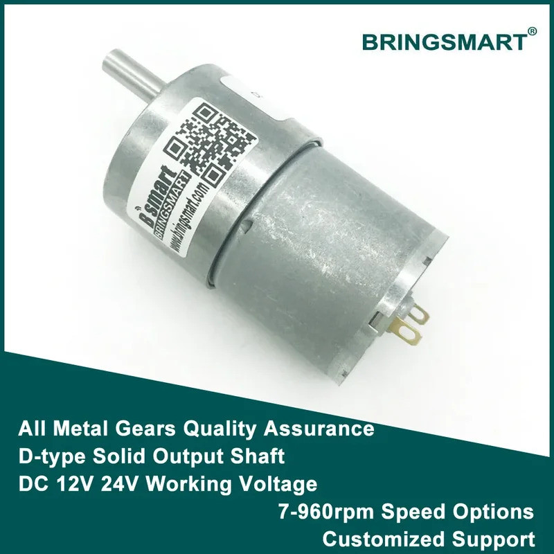 Bringsmart Bán Buôn Mô-men Xoắn Cao Động Cơ DC Giảm Động Cơ Hộp Số Động Cơ Electrico 6V 12V 24V Đảo 
