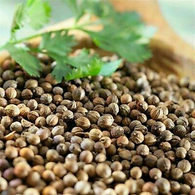 Hạt ngò - hạt mùi 100g