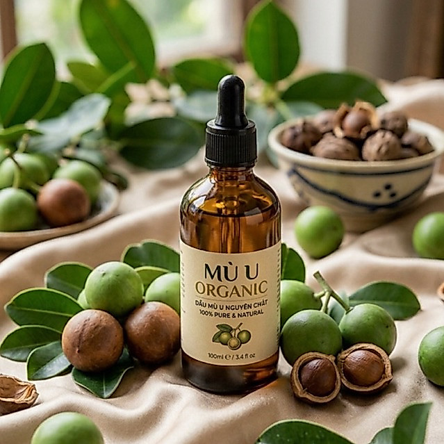Dầu mù u xanh nguyên chất Hiltown 100ml