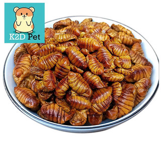 A40 Nhộng sấy khô cho Hamster, sóc, nhím, chim, sóc bay, gà rutin, bò sát 15g