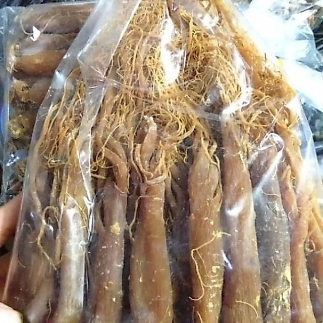 Nhân sâm khô