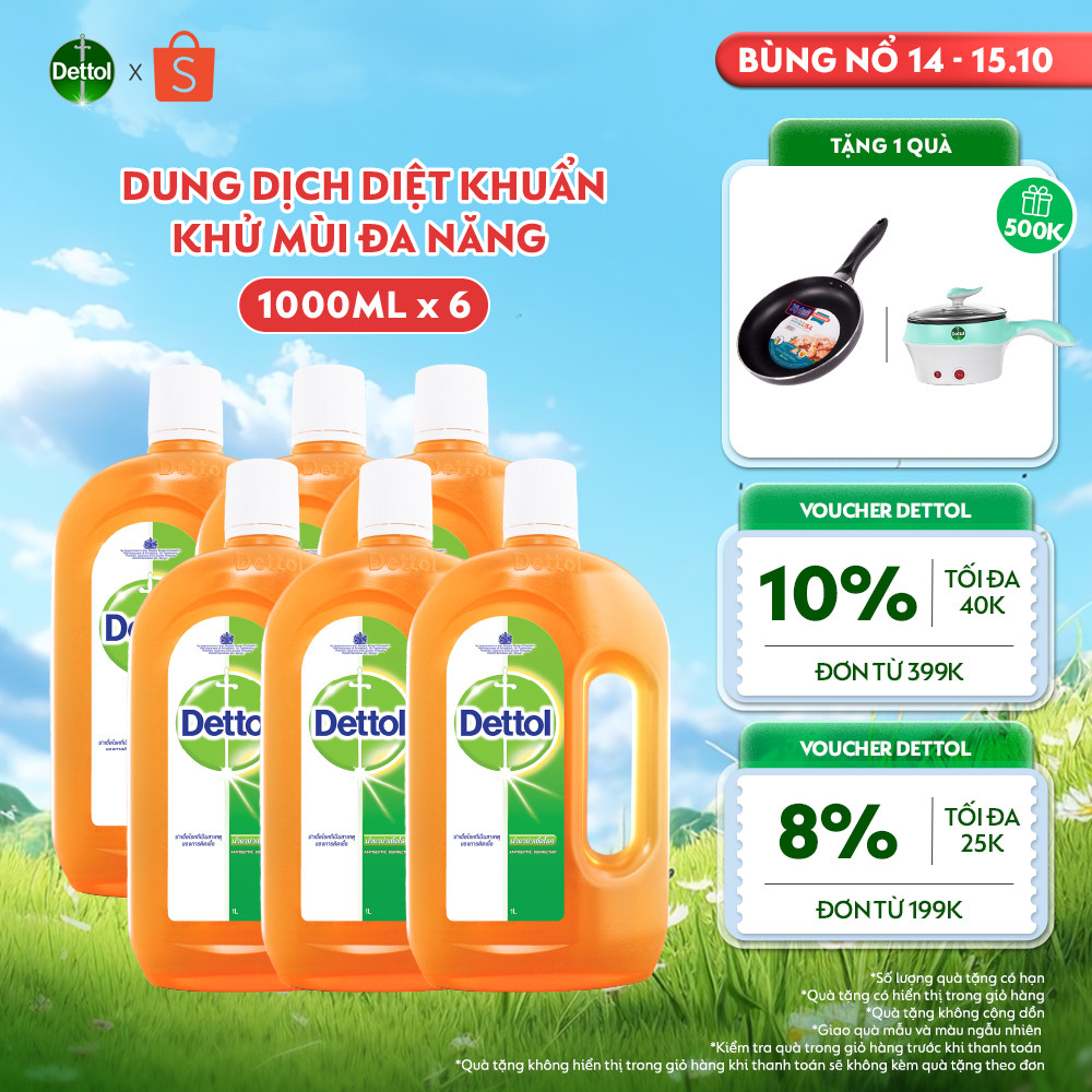 Combo 06 Dung Dịch Diệt Khuẩn Khử Mùi Đa Năng Dettol, Chai 1L