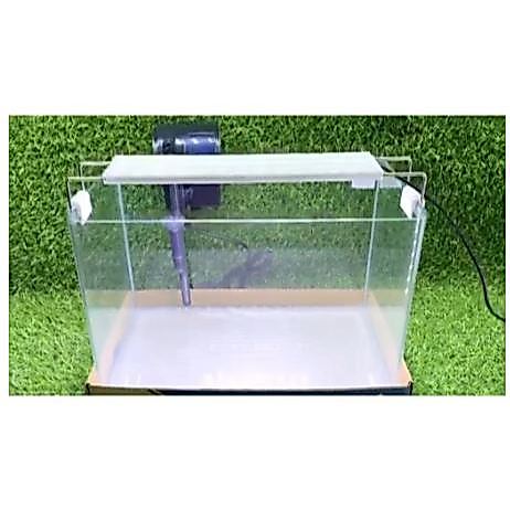 Bể kính đúc nhập khẩu bo cong cạnh mài vi tính kích thước 60*30*36cm | hồ đúc | bể kính nuôi cá