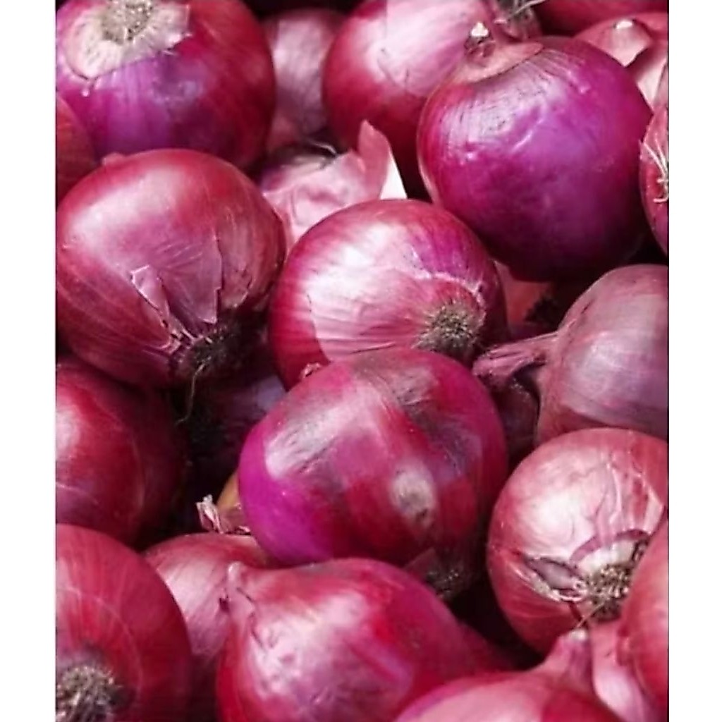 1kg củ hành tây tím