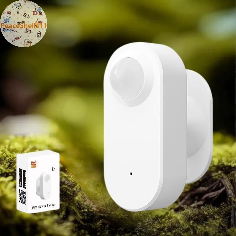 PeaceShells 3 Trong 1 2.4G MmWave Radar Cảm Biến Chuyển Động Hiện Diện Cơ Thể Con Người + Hồng Ngoại