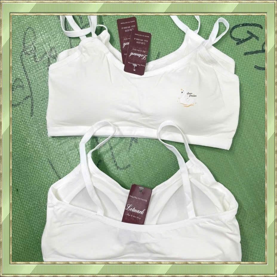 039: Combo 3 áo Bra Học Sinh mút dính liền, chất vải cotton, thoáng mát, hàng đẹp.. Nữ Tua Rua Women Voi Nhung áo