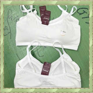 039: Combo 3 áo Bra Học Sinh mút dính liền, chất vải cotton, thoáng mát, hàng đẹp.. Nữ Tua Rua Women Voi Nhung áo