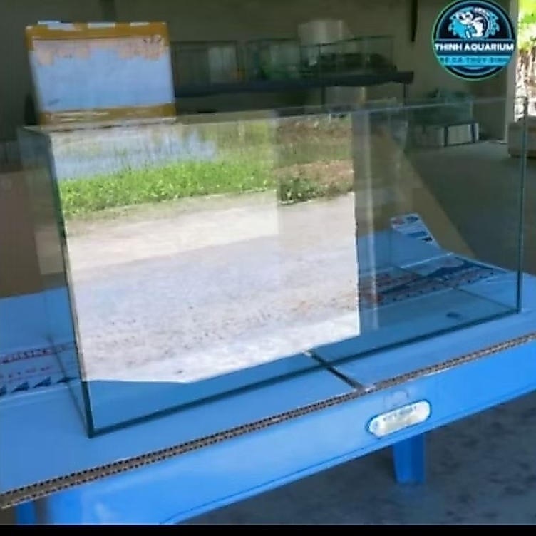 Bể kính nuôi cá siêu trong việt 60x30x30 (Mài vi tính) kính 5ly