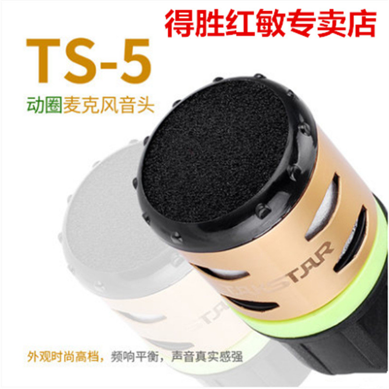 Takstar / Takstar TS-5 Micro Năng Động Lõi Lúa Mì Micro Không Dây Đầu Viên KTV Micro Chuyên Dụng Lõi