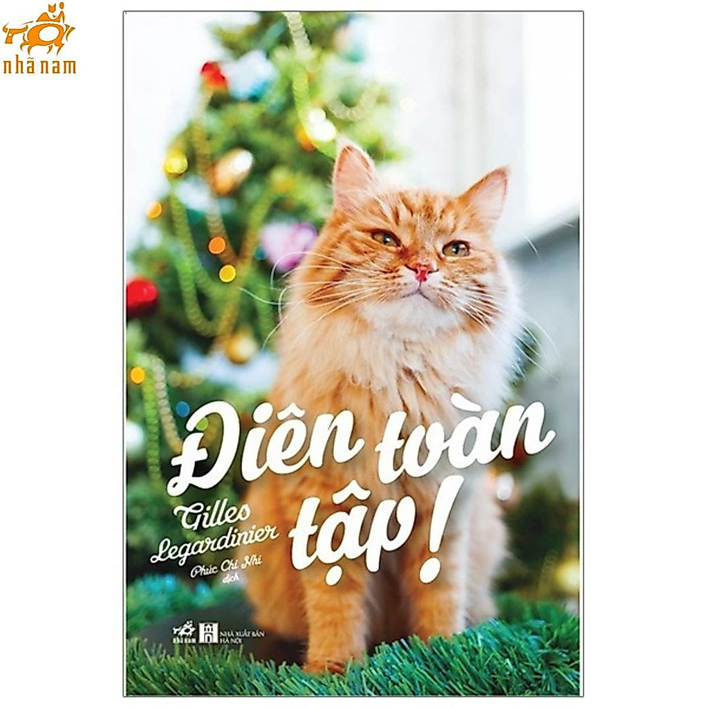 Sách - Điên toàn tập! (Nhã Nam HCM)