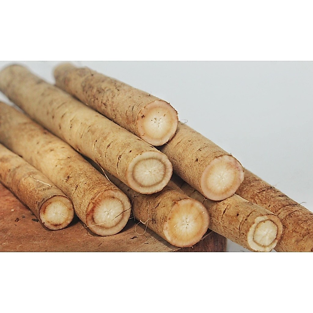 Củ Ngưu Báng Tươi Nhật Bản [1 kg]