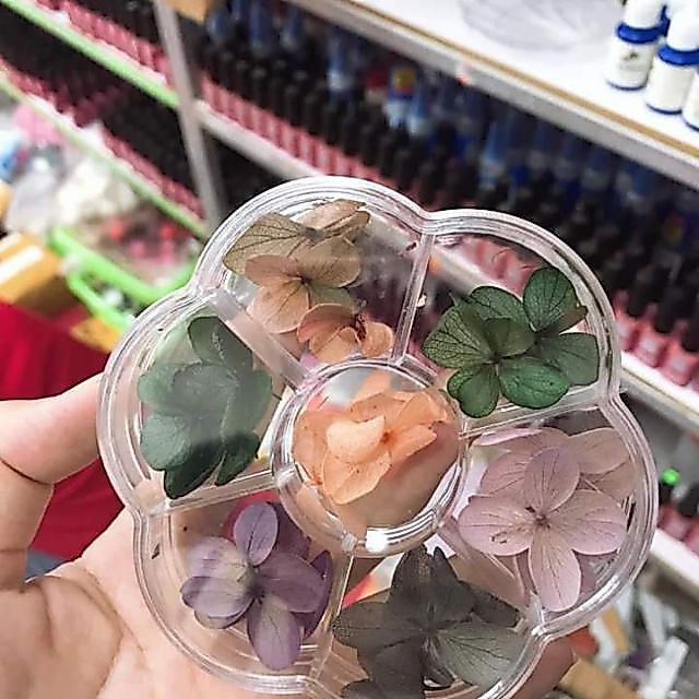 Hoa khô omber ẩn gel