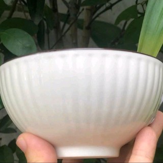 SIÊU SALE - SET 10 CHÉN ĂN CƠM 4D VÂN SỌC SIÊU SANG