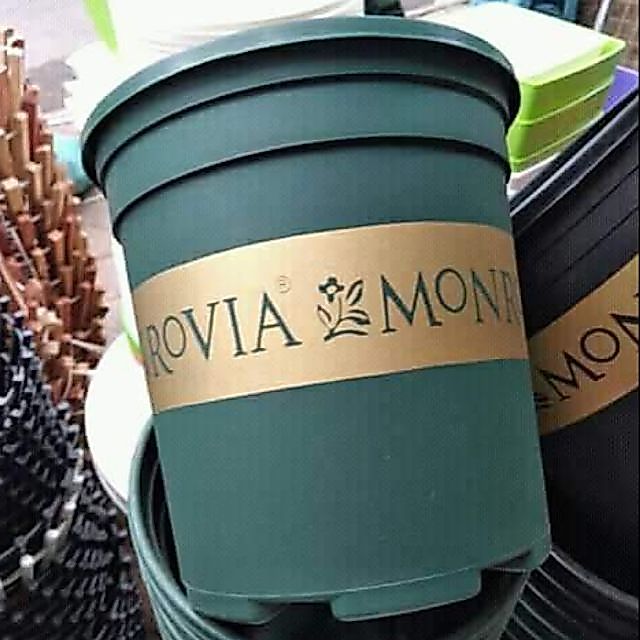 Chậu Mon 5gal kích thước 28x31cm
