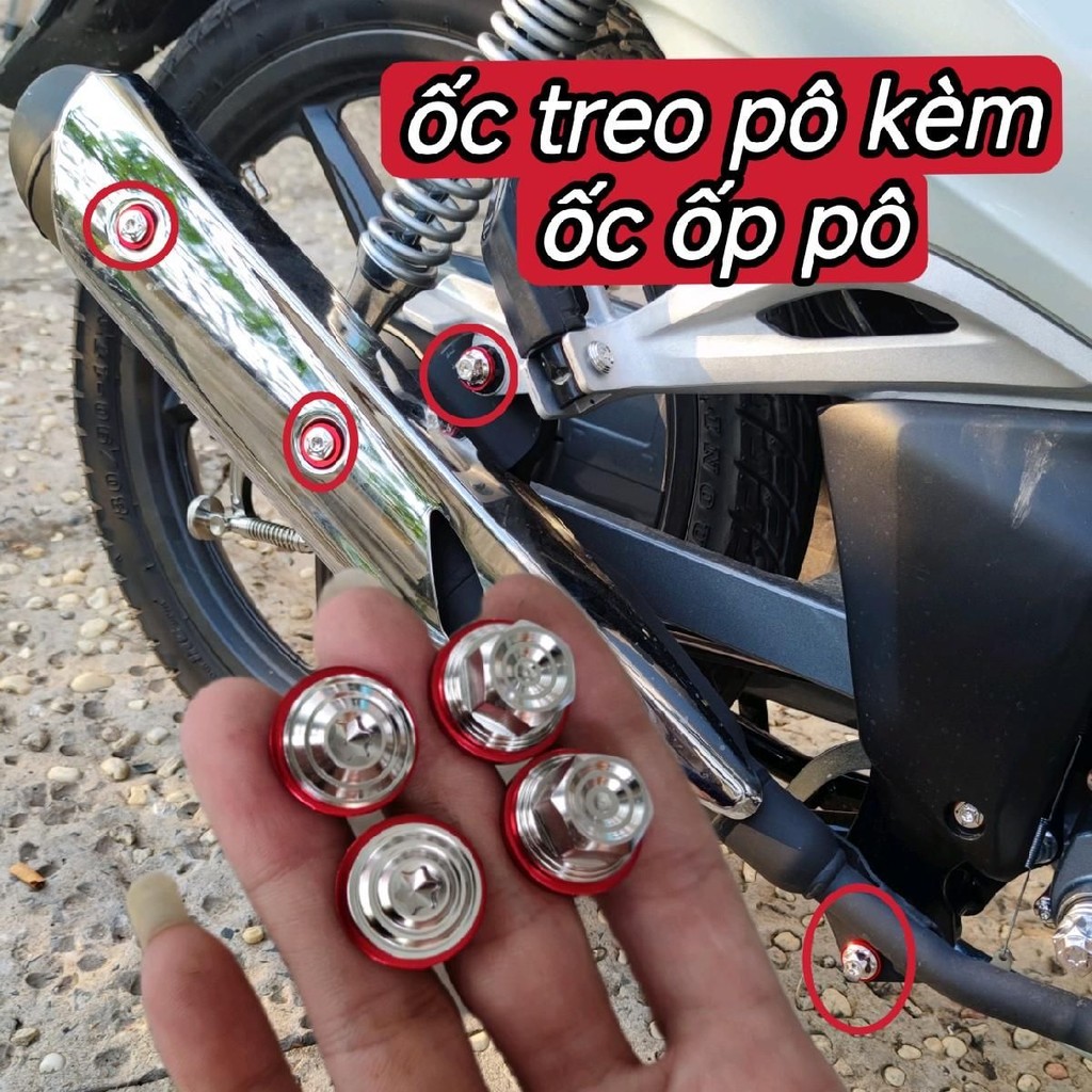Ốc TREO PÔ kèm ốc ỐP PÔ inox 304 Tặng LÔNG ĐỀN ĐỎ CHỮ