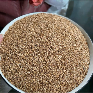 ( 1kg) Hạt vừng vàng/ Mè vàng còn vỏ, đãi sạch- sống