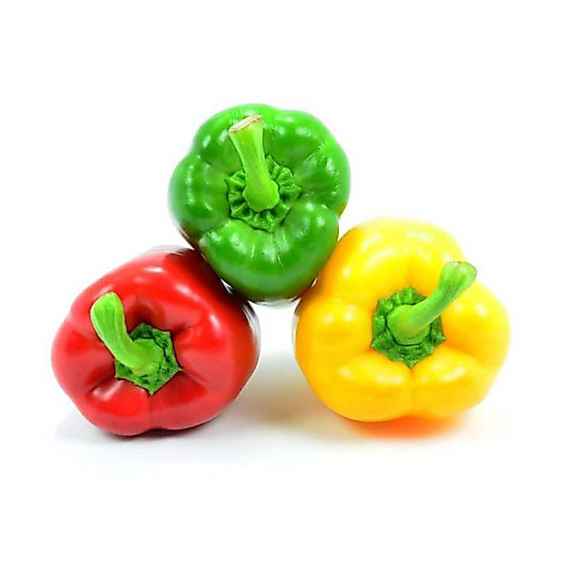 40h Hạt Giống Ớt Chuông Ngọt Mix Màu (A2.104| C2*W62*M216)