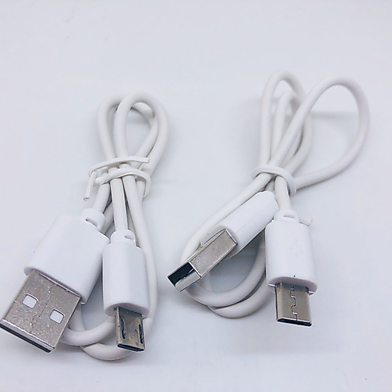 Cáp sạc dự phòng 30cm micro usb, type C