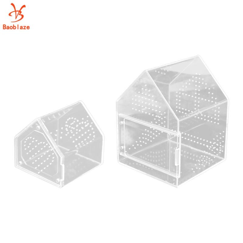 Jumping Spiders Enclosure Micro Habitat cho Arboreal Tarantula Gecko Snail