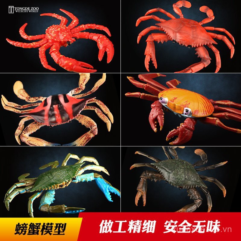 T Tongde Cua Mô Hình Động Vật Biển Đồ Chơi Trẻ Em Mô Phỏng Dưới Biển Sinh Vật Tàu Con Lăn Cua Hoa Cu