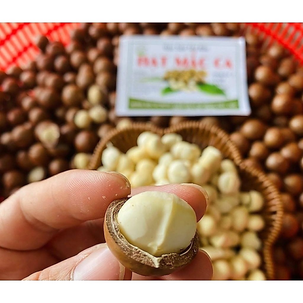 1kg HẠT MACCA ( MẮC CA) LAI CHÂU  KHÔ TỰ NỨT