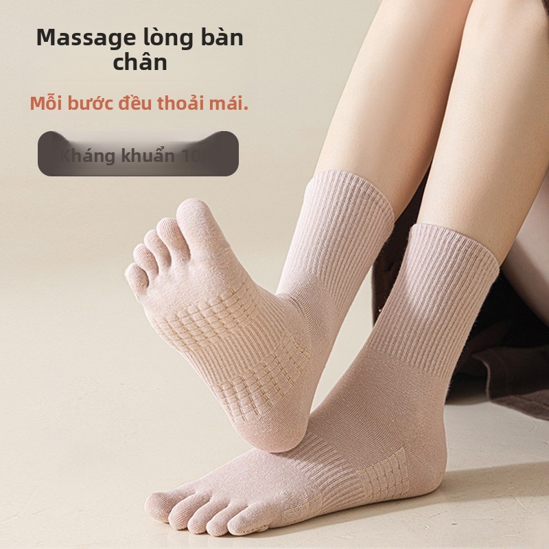 Tất 5 ngón nữ cotton thoáng khí, hút mồ hôi, khử mùi giữa ống