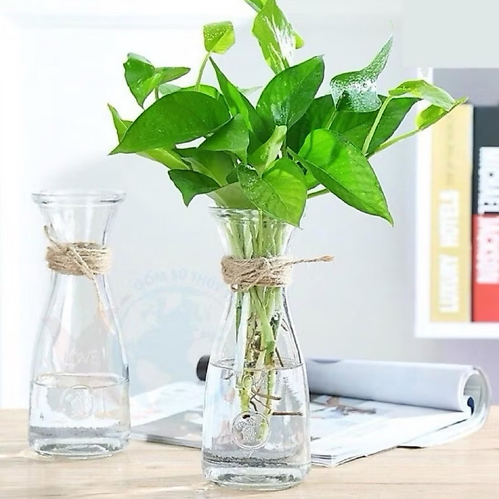 Combo 10 Lọ hoa mini thủy tinh/ Bình cắm hoa thủy tinh tặng kèm dây dừa trang trí