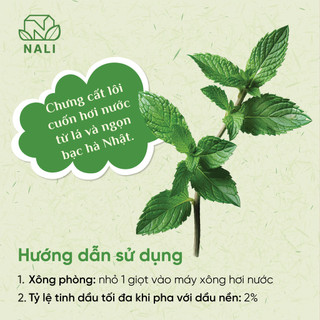 Tinh dầu Bạc hà nguyên chất - Metha Arvensis