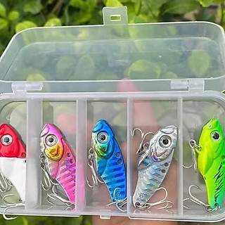 Bộ 5 Con Cá Sắt R45. Combo Tặng Hộp Mồi Câu Lure Gồm 5 Con Mồi Cá Sắt Sơn Bóng Đóng Cá Siêu Nhạy