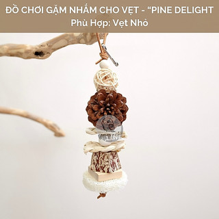 Đồ chơi treo lồng tự nhiên cho vẹt nhỏ - PINE DELIGHT | Giúp vẹt gặm nhấm, xả stress | Made By Vẹt Nè