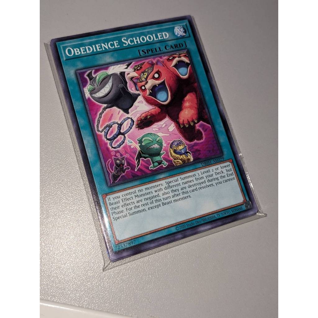 <TD> DBJH-AE029 Obedience Schooled - Common