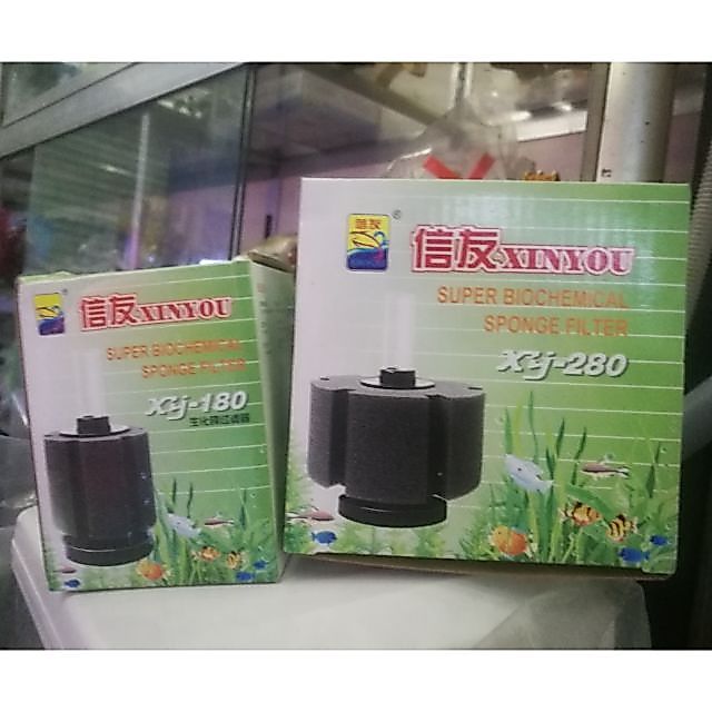 Sủi oxy bio - lọc vi sinh cho hồ cá cảnh