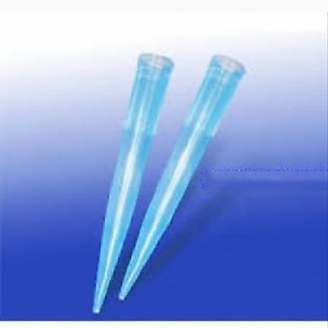 Đầu col xanh túi 1000c