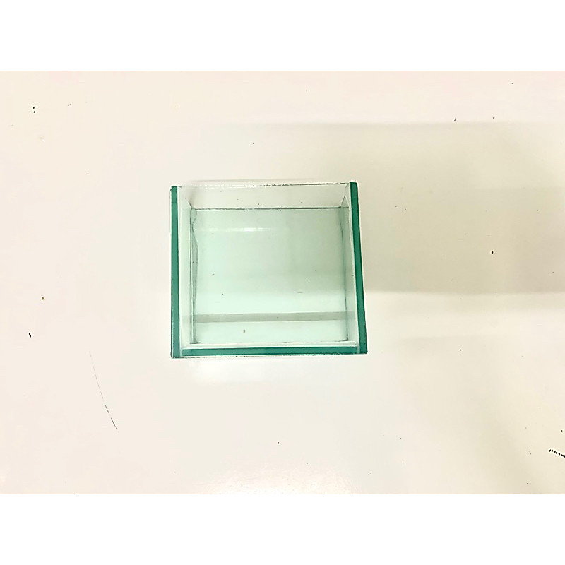 HỒ KIẾNG MINI SHOW CÁ 7 MÀU, CÁ BETTA 7x3x7cm ( HỒ KÍNH SIÊU NHỎ )