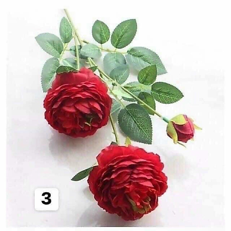 hoa trà 2 bông 1 nụ hàng đẹp.