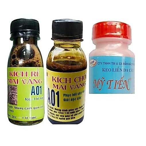 COMBO (3 chai) KÍCH RỄ MAI VÀNG A01 100ml, KÍCH CHỒI MAI VÀNG A01 100ml và KEO LIỀN DA CÂY MỸ TIẾN 1