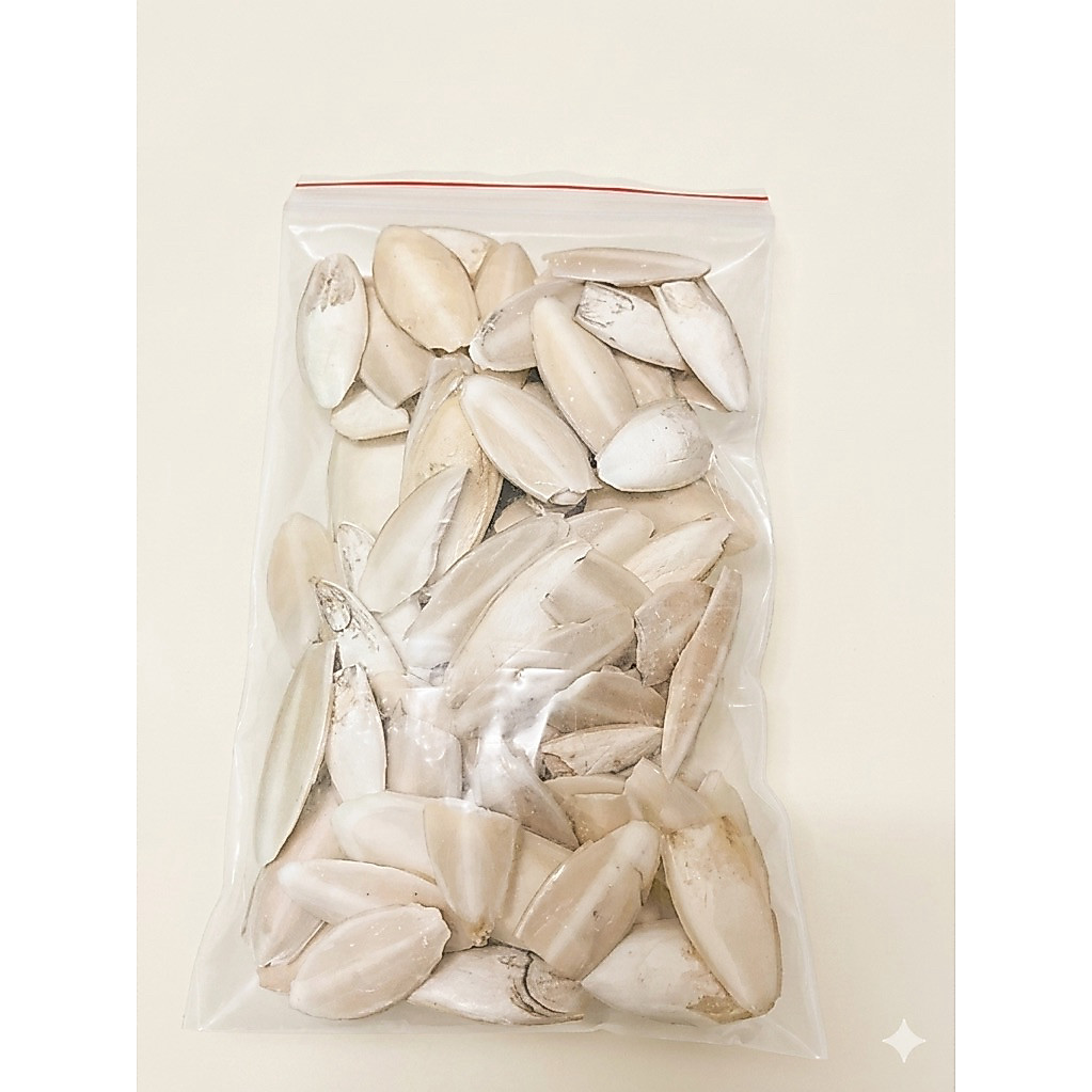 Nang mực (mai mực) khô, thức ăn cho Isopod, gecko thằn lằn, bò sát, chim vẹt, ốc