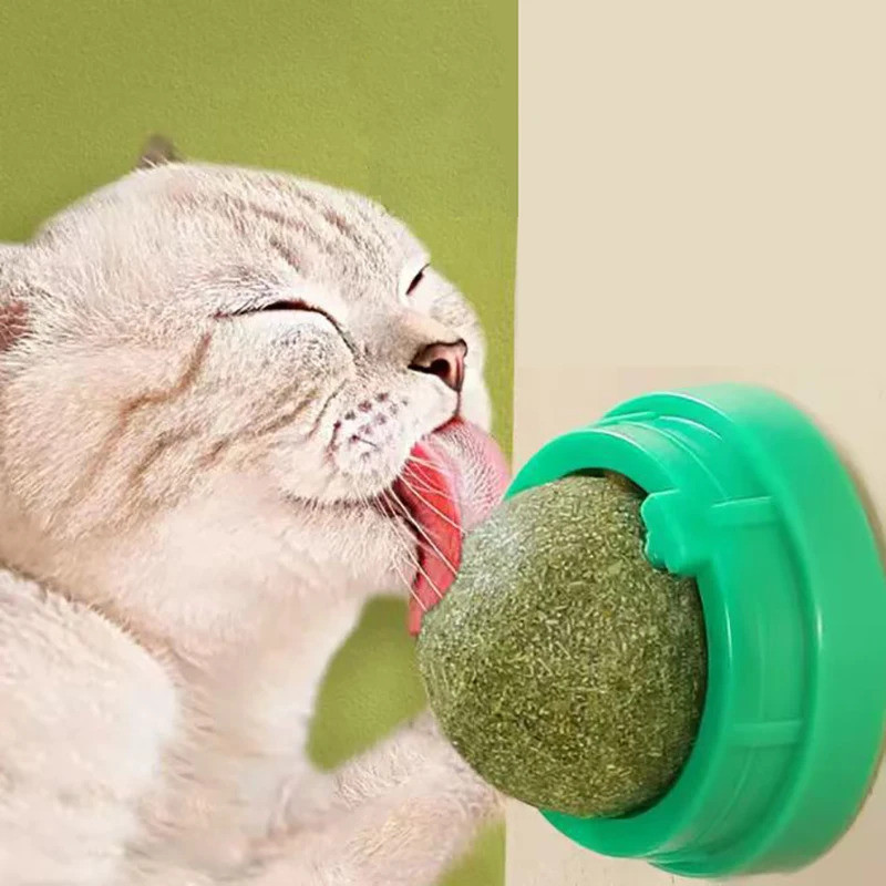 HUI The Catnip Cat Wall Stick-on Ball Toy Scratchers Treats Healthy Natural Removes Balls to Promoti