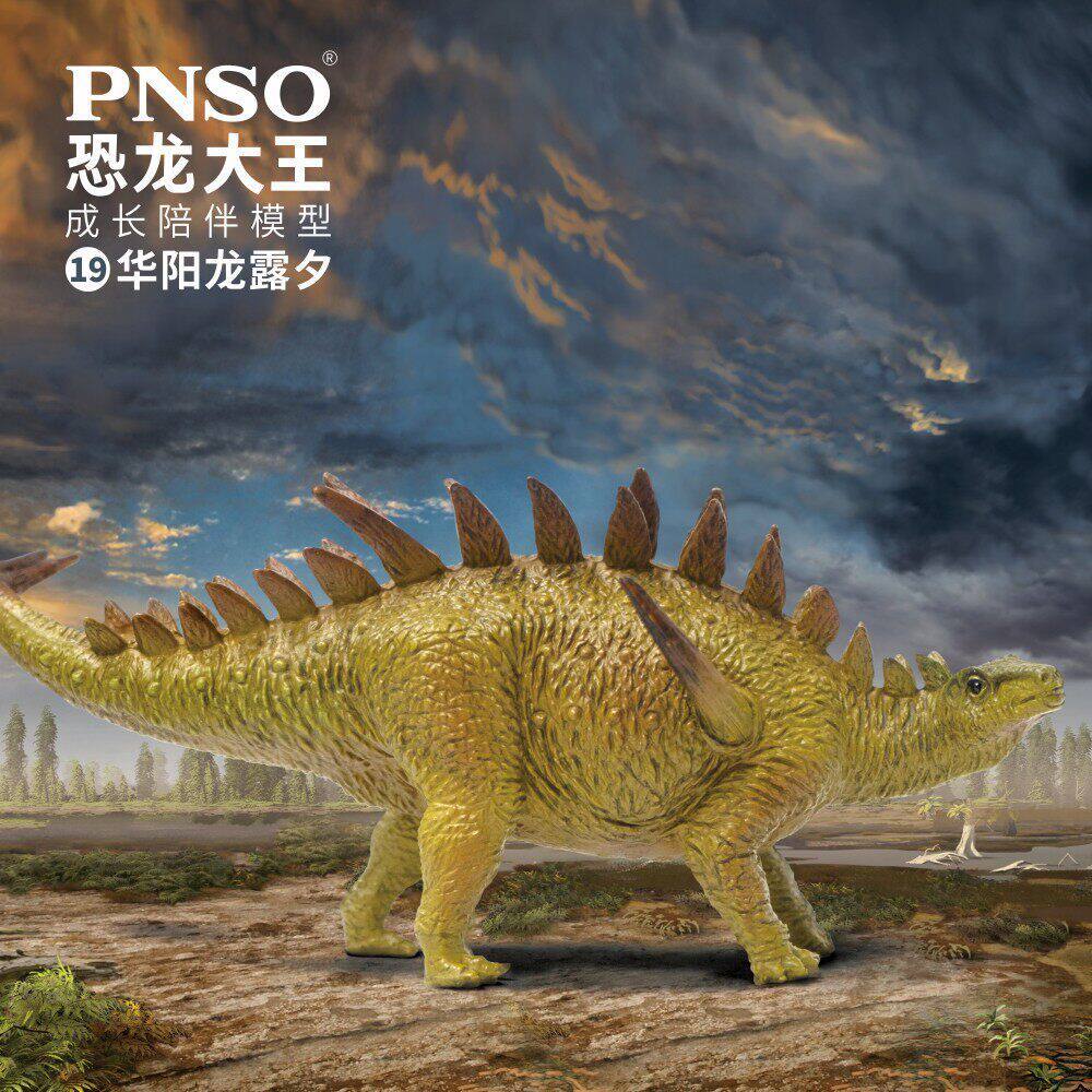Mẫu đồng hành trưởng thành PNSO19 Huayangosaurus Rex