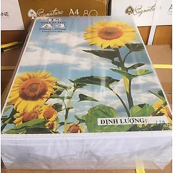Giấy trắng, giấy vẽ, giấy Fo A4 định lượng 120gsm (Ram 500 tờ)